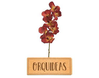 Orquídeas | Bela Flor